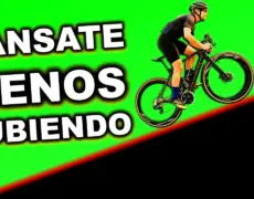 Turismo en Surrey Hills: Descenso en bicicleta de montaña por sus impresionantes colinas