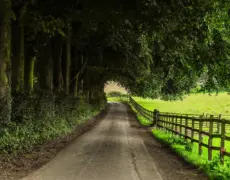 Descubre la riqueza cultural de Inglaterra: turismo, viaje y exploración de museos, teatros y lugares históricos