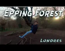 Descubre el encanto de turismo en El Bosque de Epping Essex: un viaje imprescindible