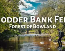 Descubre la belleza natural de Forest of Bowland en Lancashire: un destino imperdible para tu próximo viaje de turismo