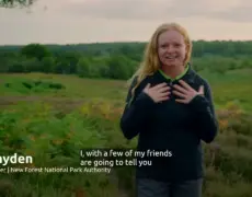Descubre el encanto del turismo en New Forest Hampshire: el destino perfecto para tu próximo viaje