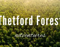 Descubre la magia del turismo en el bosque de Thetford Forest en Norfolk