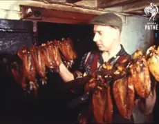 Descubre los mejores kippers en tu próximo viaje de turismo gastronómico