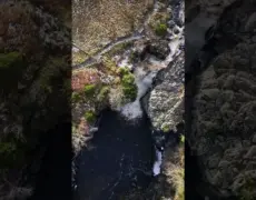 Descubre la impresionante Cascada de High Force en un viaje de turismo por el Condado de Durham