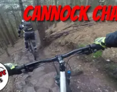 Descubre los impresionantes senderos de Cannock Chase en tu próximo viaje de turismo en Staffordshire