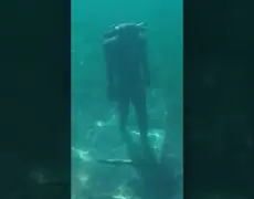 Descubre la emoción del buceo en el lago Dorothea: turismo acuático en un viaje inolvidable