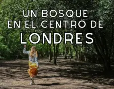 Descubre el encanto de Holland Park en tu próximo viaje de turismo en Londres