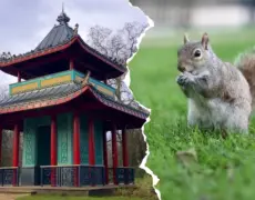 Descubre el encanto de Victoria Park en tu próximo viaje de turismo en Londres